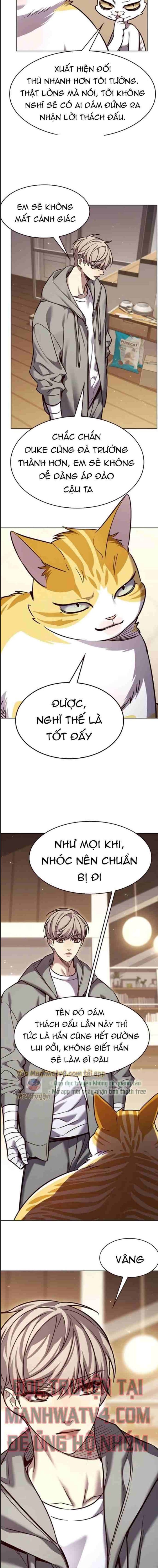 Hoá Thân Thành Mèo Chap 328 - Next Chap 329