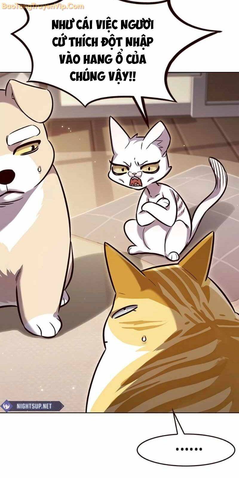 Hoá Thân Thành Mèo Chap 329 - Next Chap 330