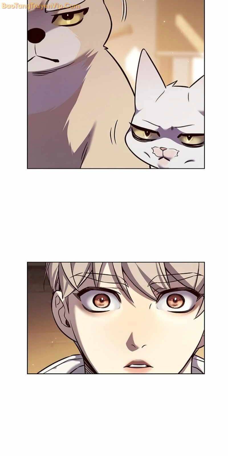 Hoá Thân Thành Mèo Chap 329 - Next Chap 330