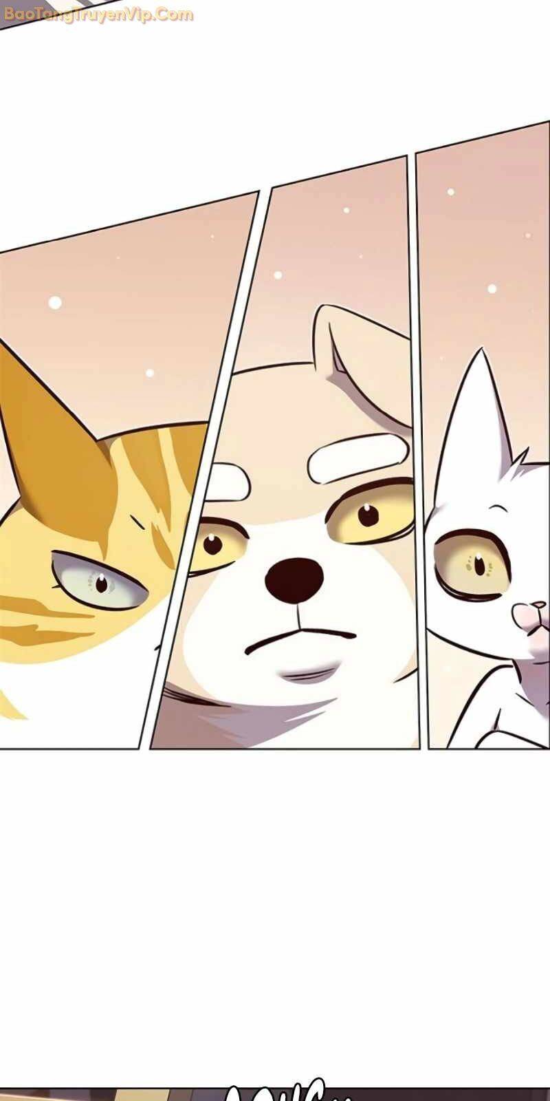 Hoá Thân Thành Mèo Chap 329 - Next Chap 330