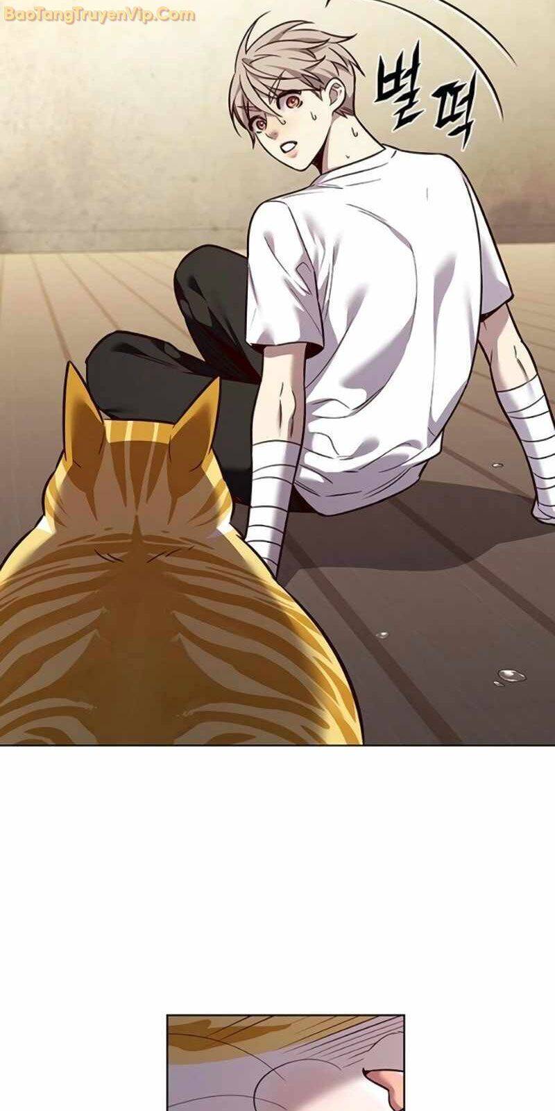 Hoá Thân Thành Mèo Chap 329 - Next Chap 330