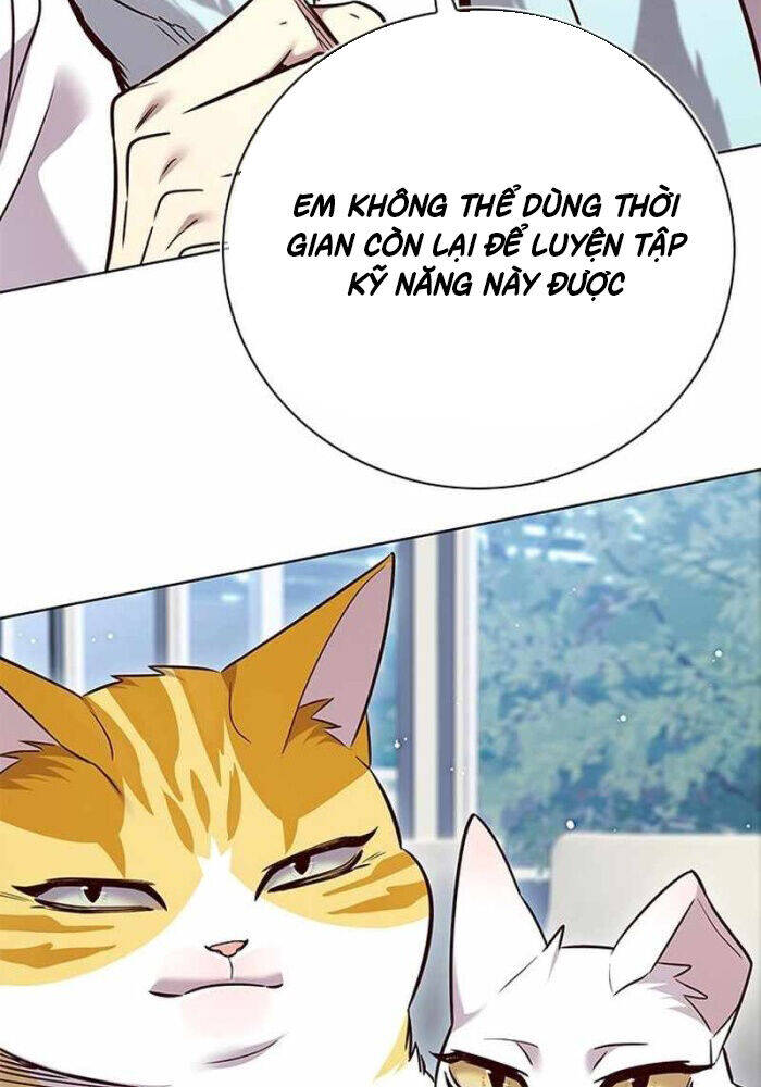 Hoá Thân Thành Mèo Chap 330 - Next Chap 331