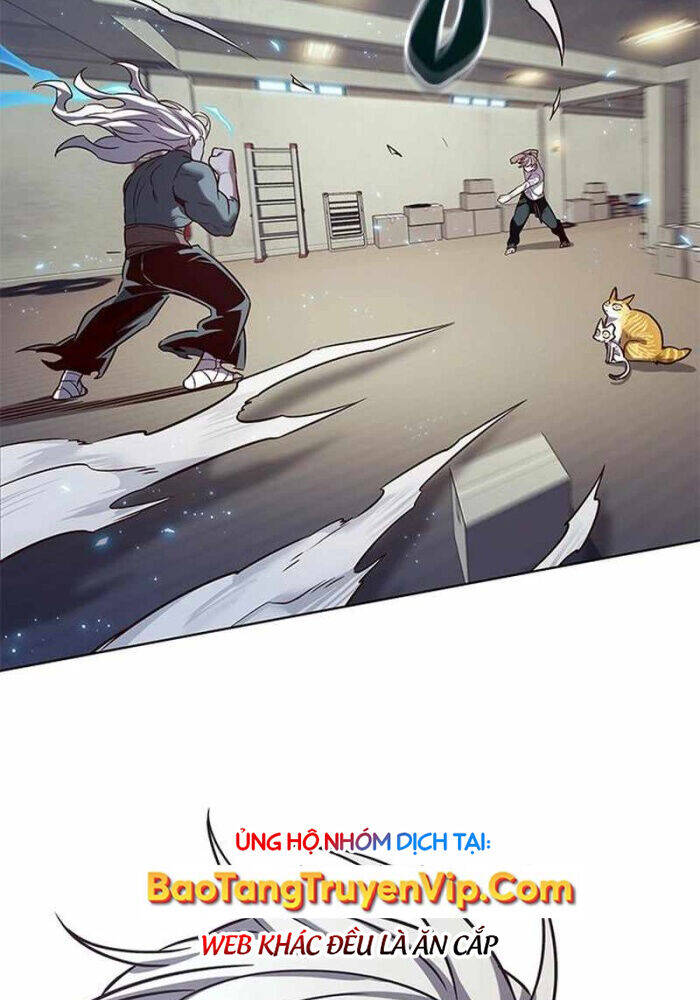 Hoá Thân Thành Mèo Chap 330 - Next Chap 331