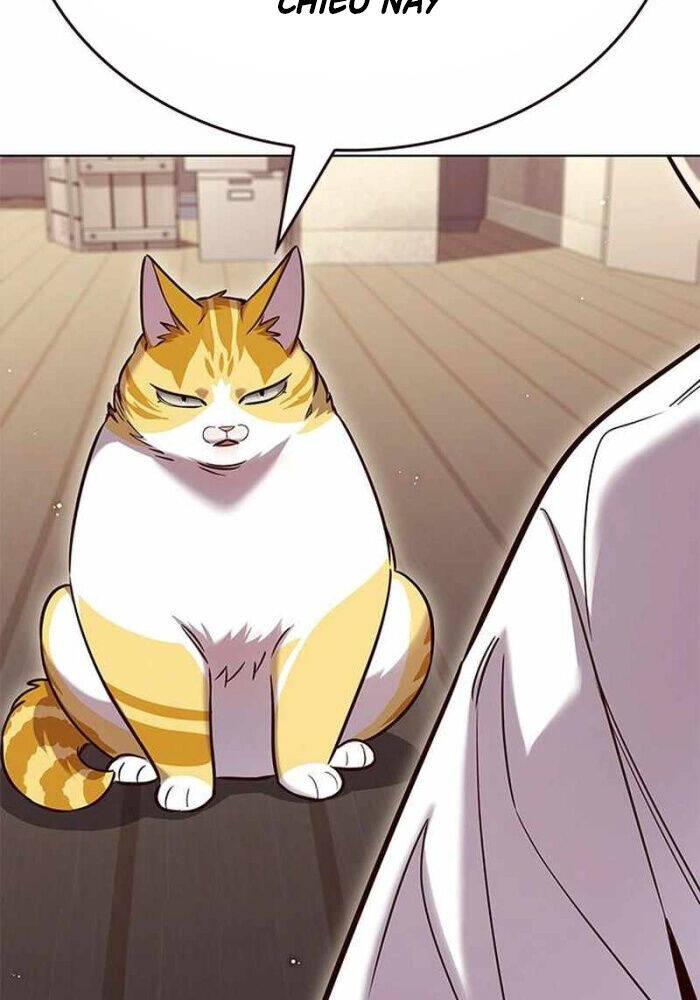 Hoá Thân Thành Mèo Chap 330 - Next Chap 331