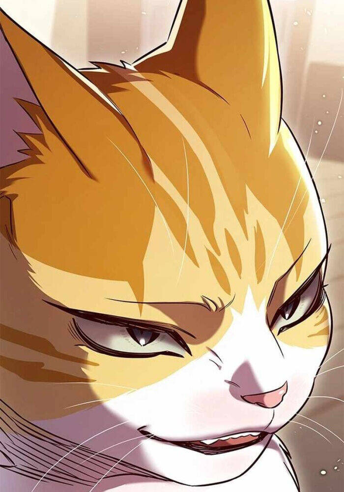 Hoá Thân Thành Mèo Chap 330 - Next Chap 331