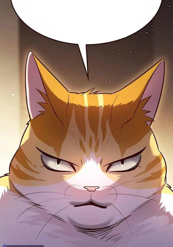 Hoá Thân Thành Mèo Chap 330 - Next Chap 331