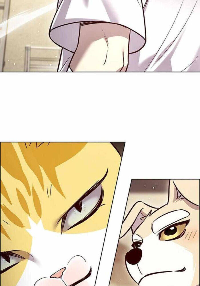 Hoá Thân Thành Mèo Chap 330 - Next Chap 331