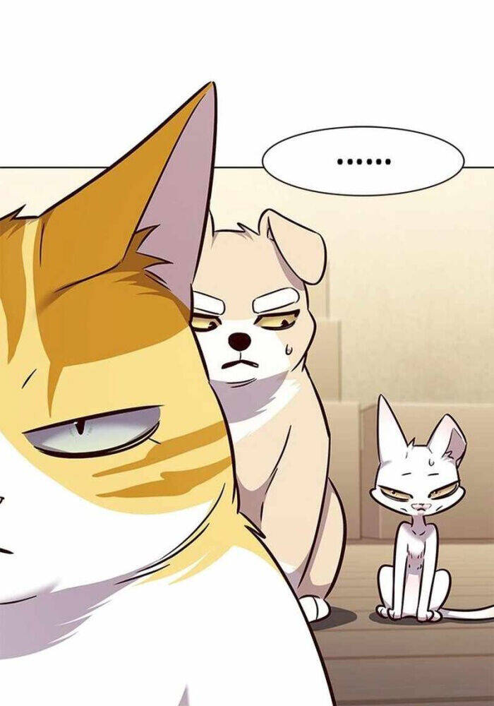Hoá Thân Thành Mèo Chap 330 - Next Chap 331