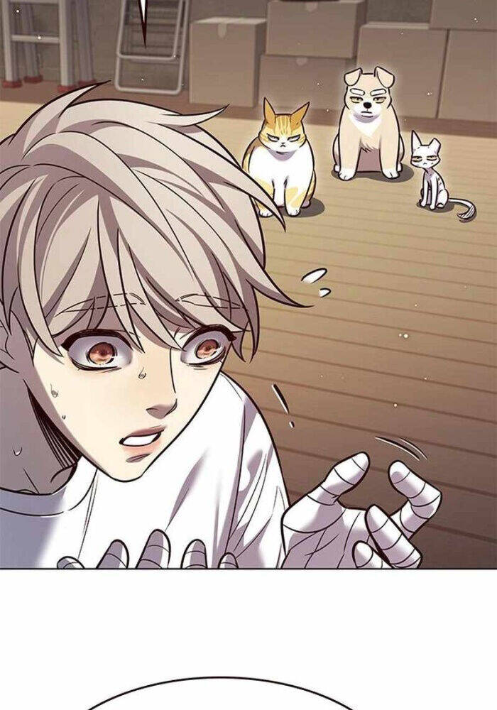 Hoá Thân Thành Mèo Chap 330 - Next Chap 331