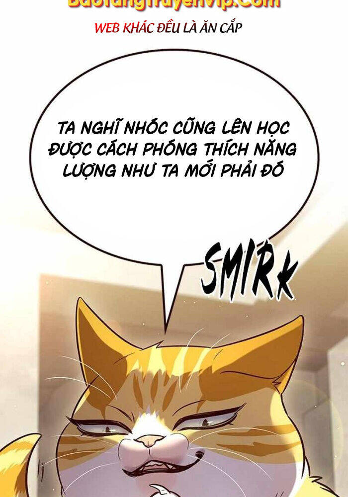 Hoá Thân Thành Mèo Chap 330 - Next Chap 331