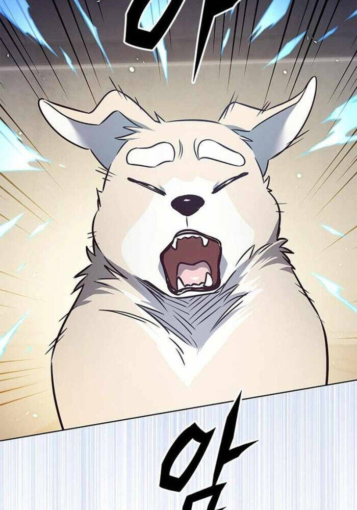 Hoá Thân Thành Mèo Chap 330 - Next Chap 331
