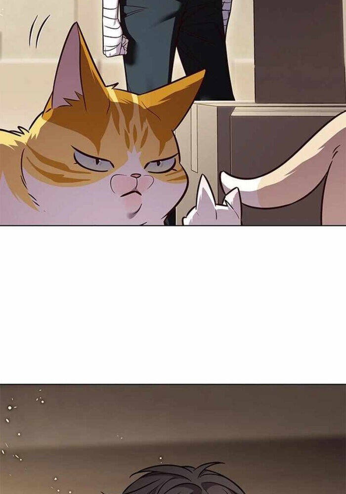 Hoá Thân Thành Mèo Chap 330 - Next Chap 331