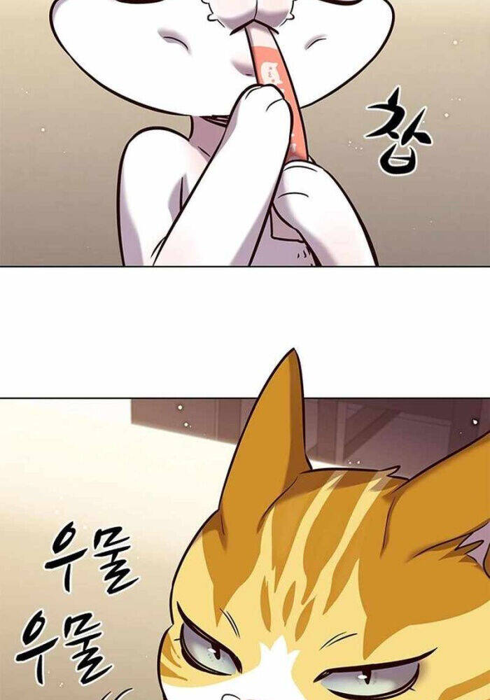 Hoá Thân Thành Mèo Chap 330 - Next Chap 331