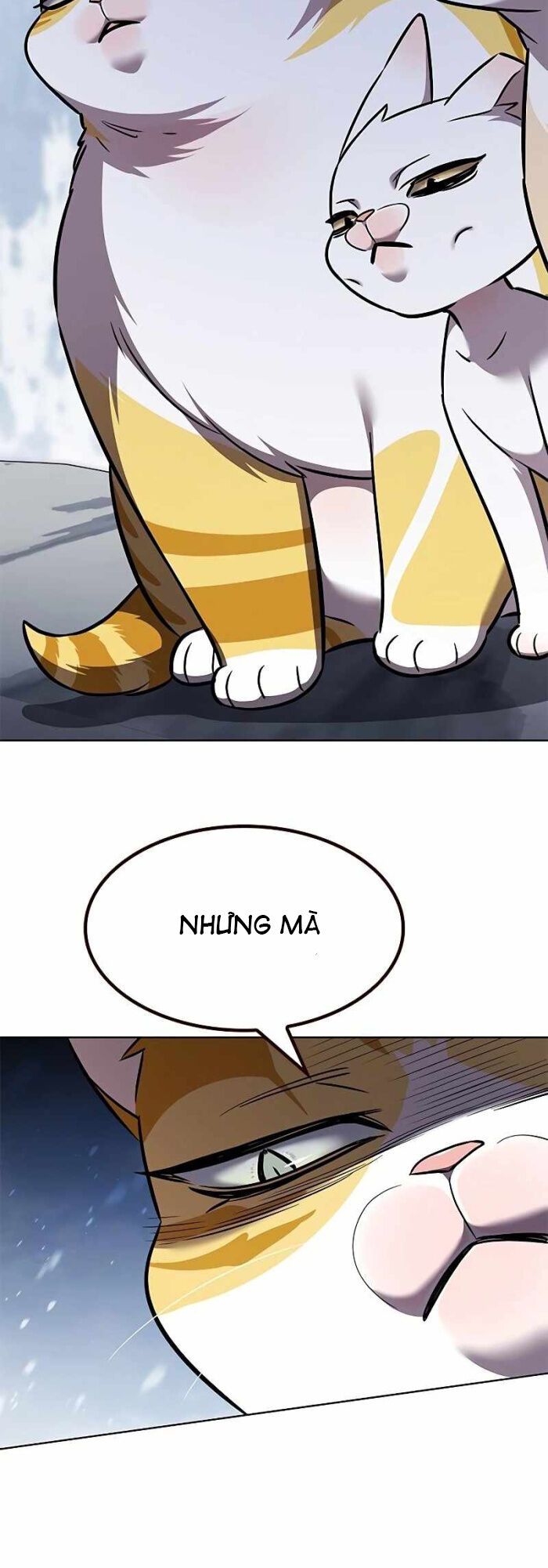 Hoá Thân Thành Mèo Chap 333 - Next Chap 334