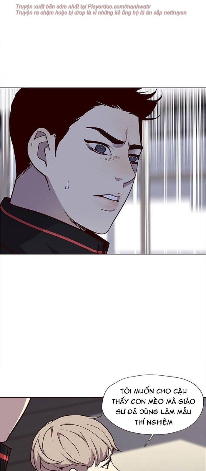 Hoá Thân Thành Mèo Chap 34 - Next Chap 35