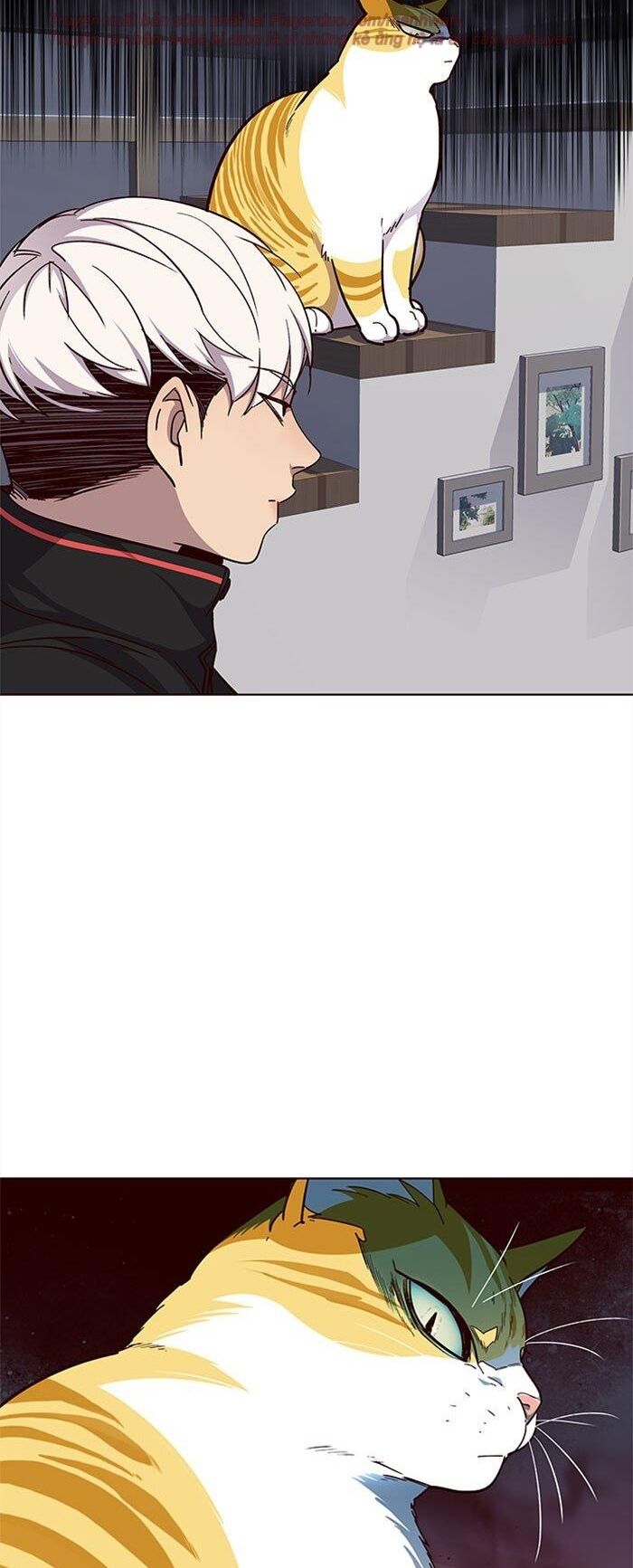 Hoá Thân Thành Mèo Chap 35 - Next Chap 36