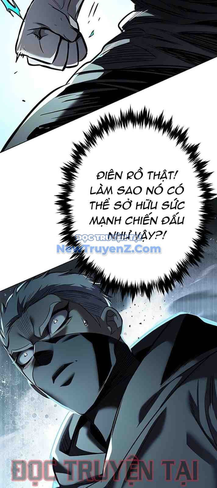 Hoá Thân Thành Mèo Chap 351 - Next Chap 352