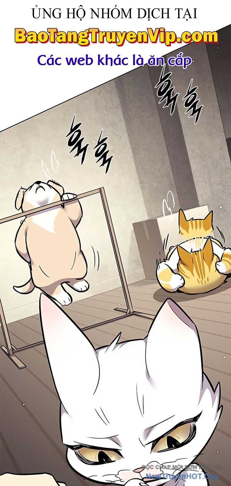 Hoá Thân Thành Mèo Chap 355 - Next Chap 356