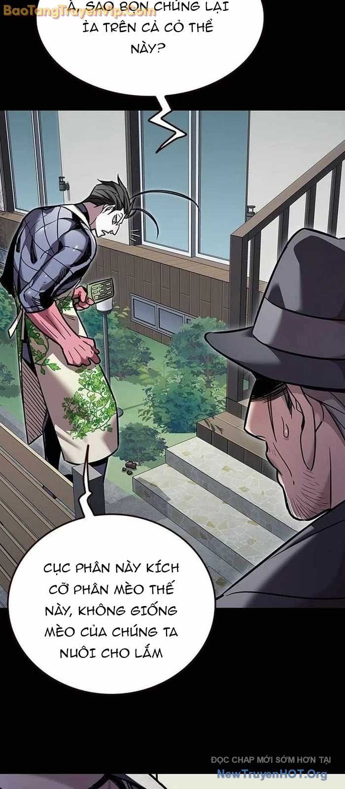 Hoá Thân Thành Mèo Chap 356 - Next Chap 357