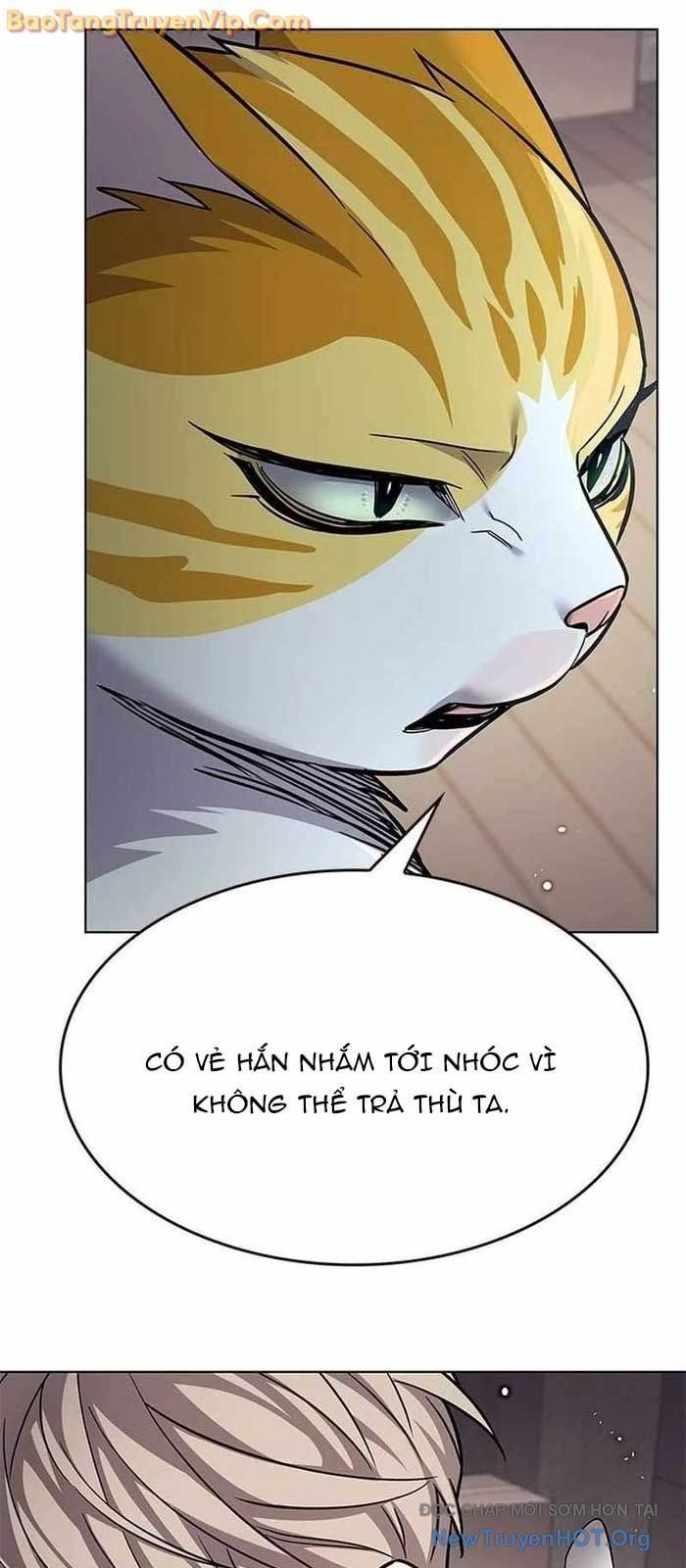Hoá Thân Thành Mèo Chap 356 - Next Chap 357