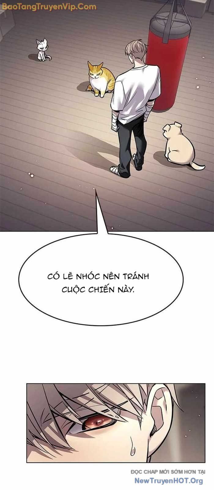 Hoá Thân Thành Mèo Chap 356 - Next Chap 357