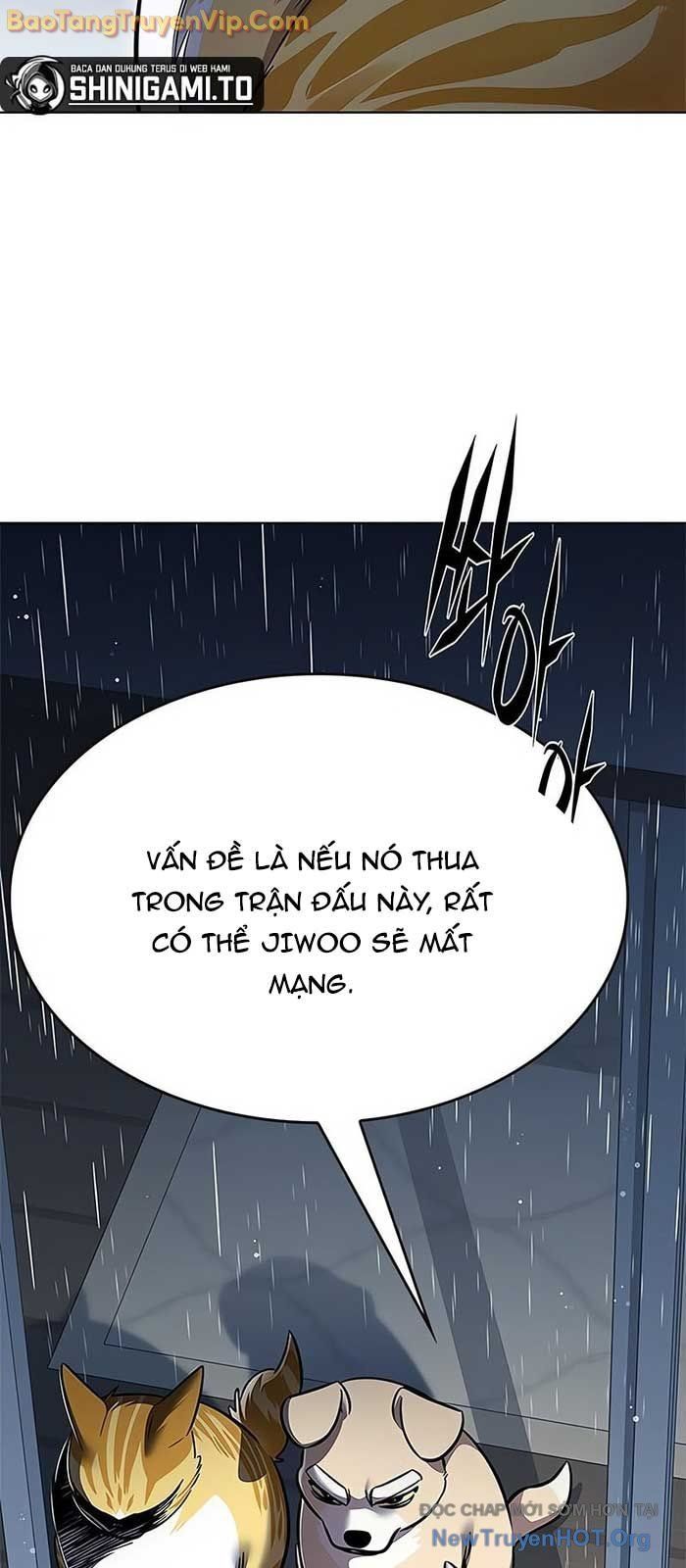 Hoá Thân Thành Mèo Chap 357 - Next Chap 358