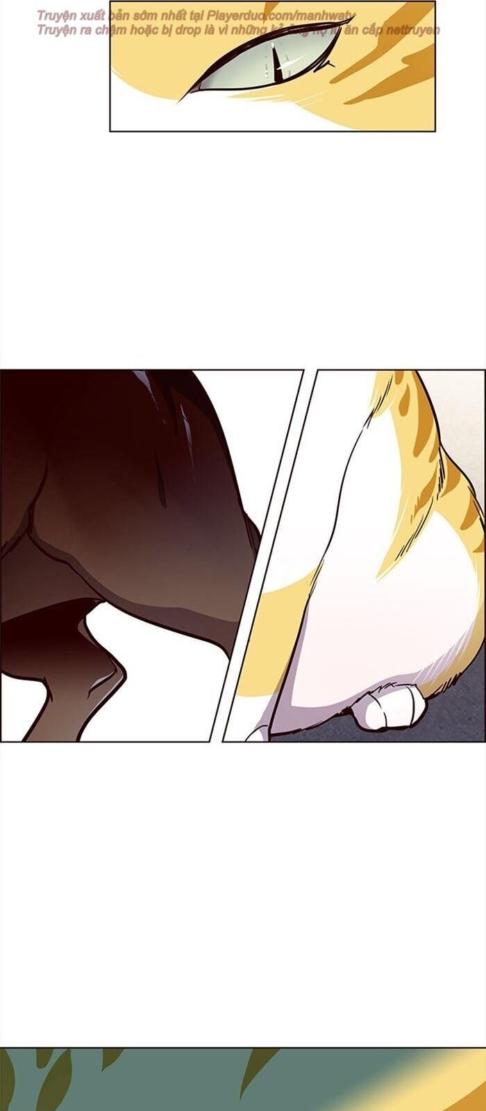 Hoá Thân Thành Mèo Chap 36 - Next Chap 37