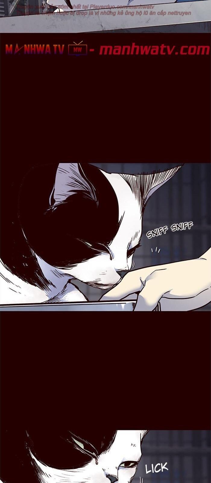 Hoá Thân Thành Mèo Chap 36 - Next Chap 37