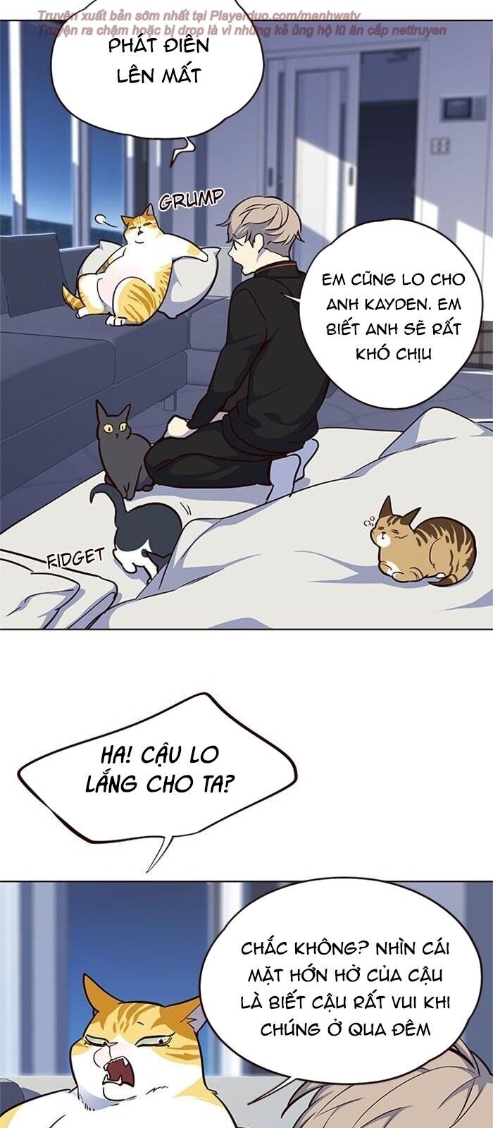 Hoá Thân Thành Mèo Chap 36 - Next Chap 37
