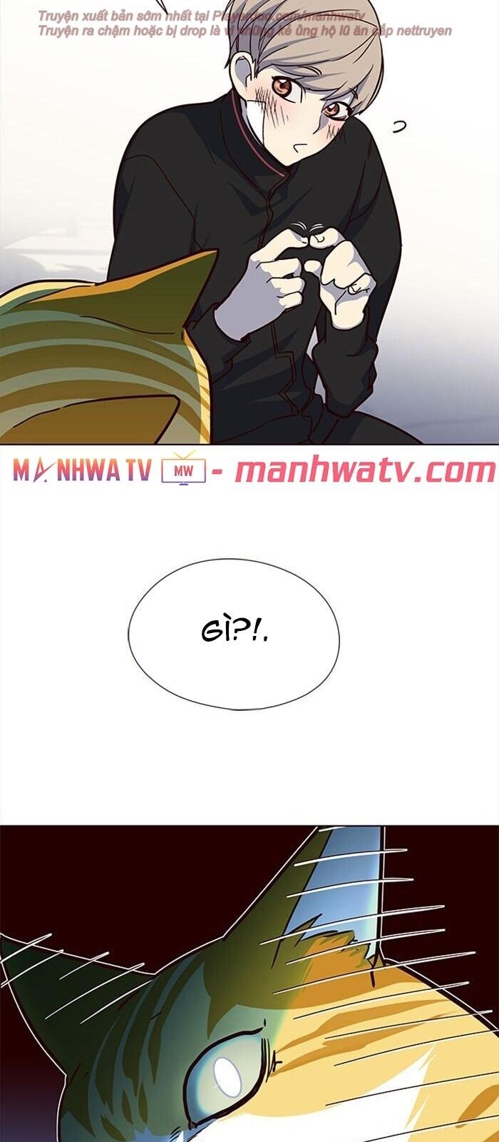 Hoá Thân Thành Mèo Chap 36 - Next Chap 37