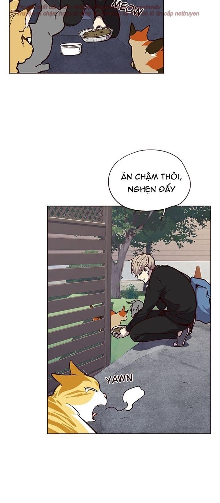 Hoá Thân Thành Mèo Chap 36 - Next Chap 37
