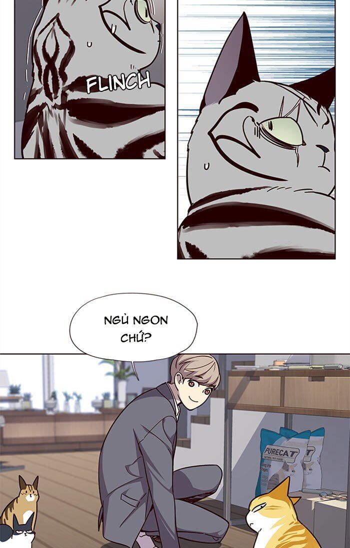 Hoá Thân Thành Mèo Chap 37 - Next Chap 38