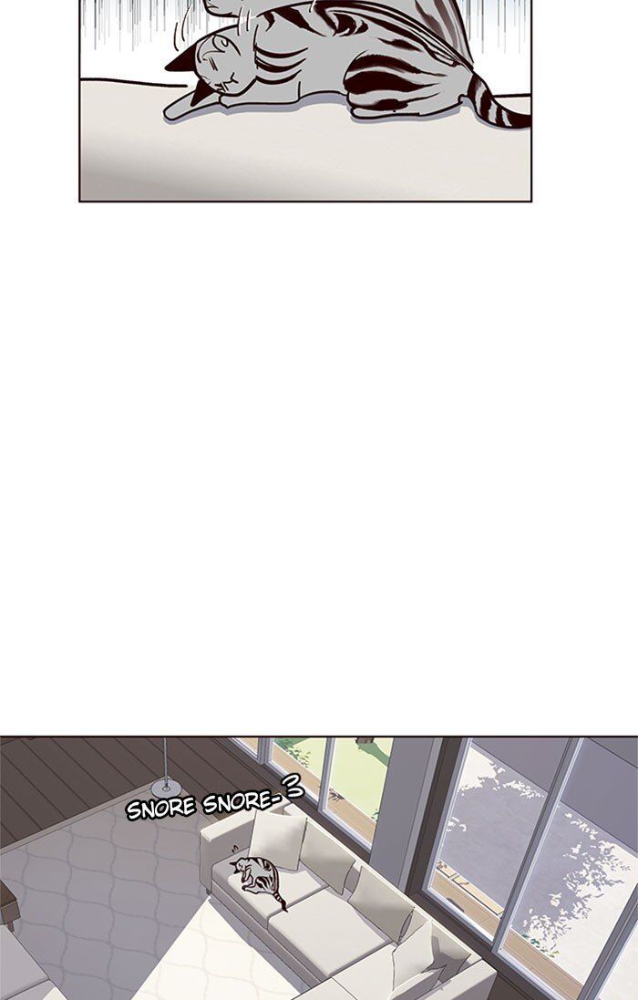 Hoá Thân Thành Mèo Chap 37 - Next Chap 38