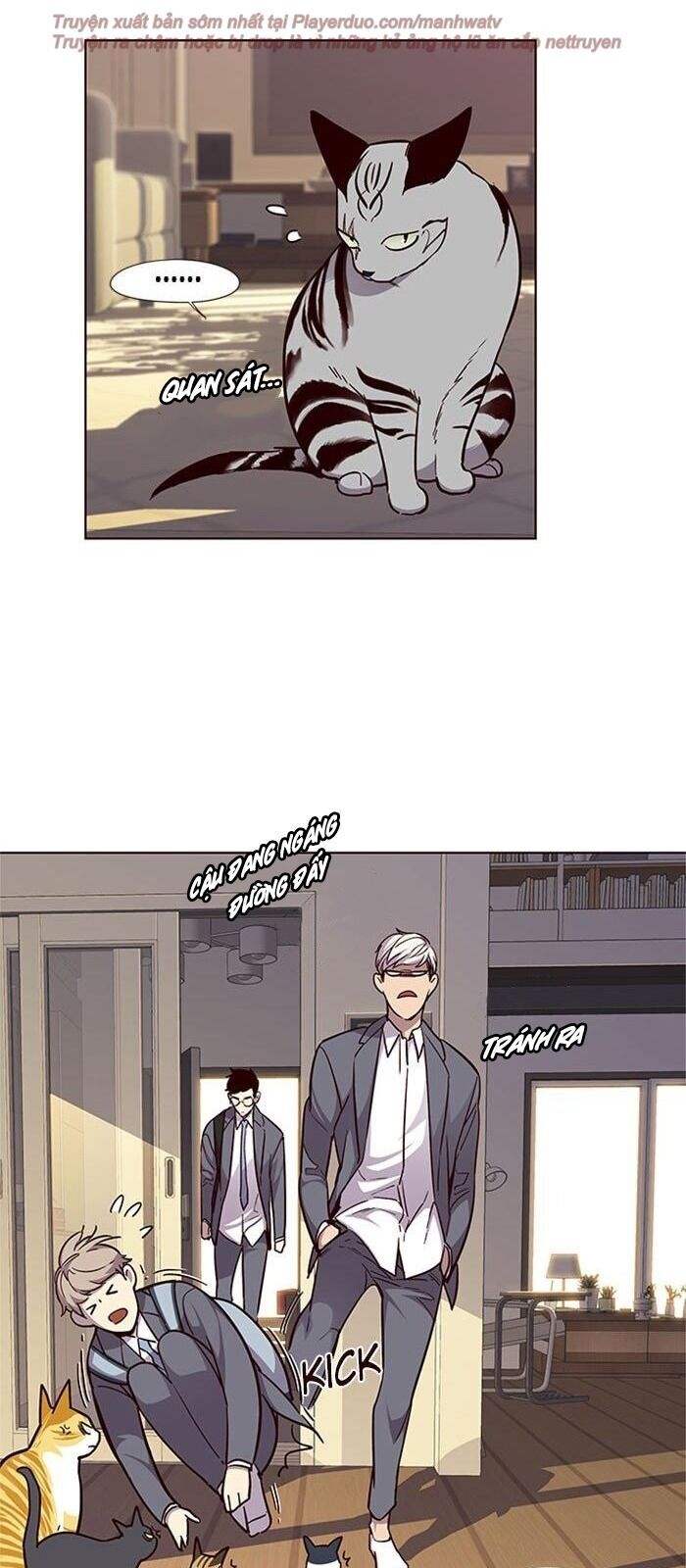 Hoá Thân Thành Mèo Chap 38 - Next Chap 39