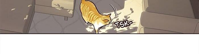 Hoá Thân Thành Mèo Chap 38 - Next Chap 39