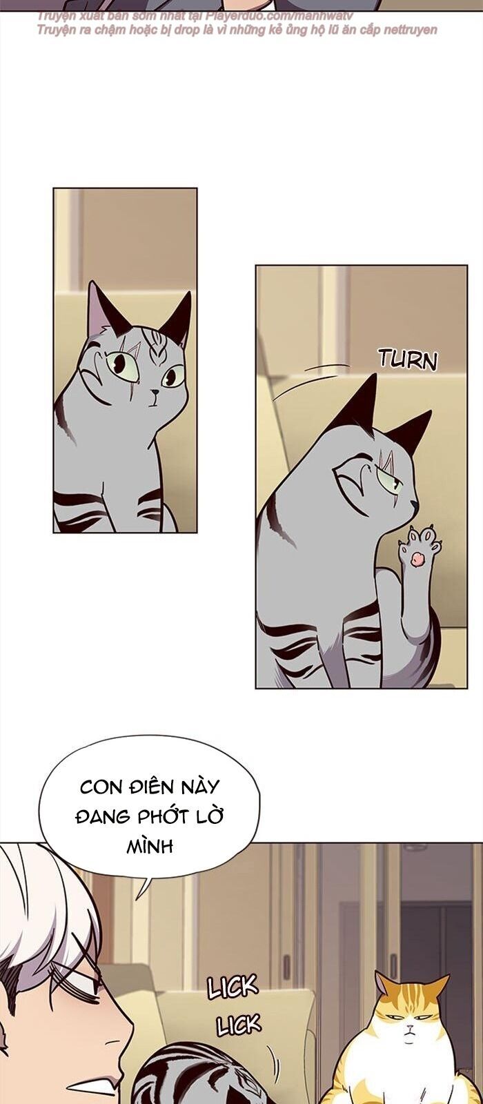 Hoá Thân Thành Mèo Chap 38 - Next Chap 39