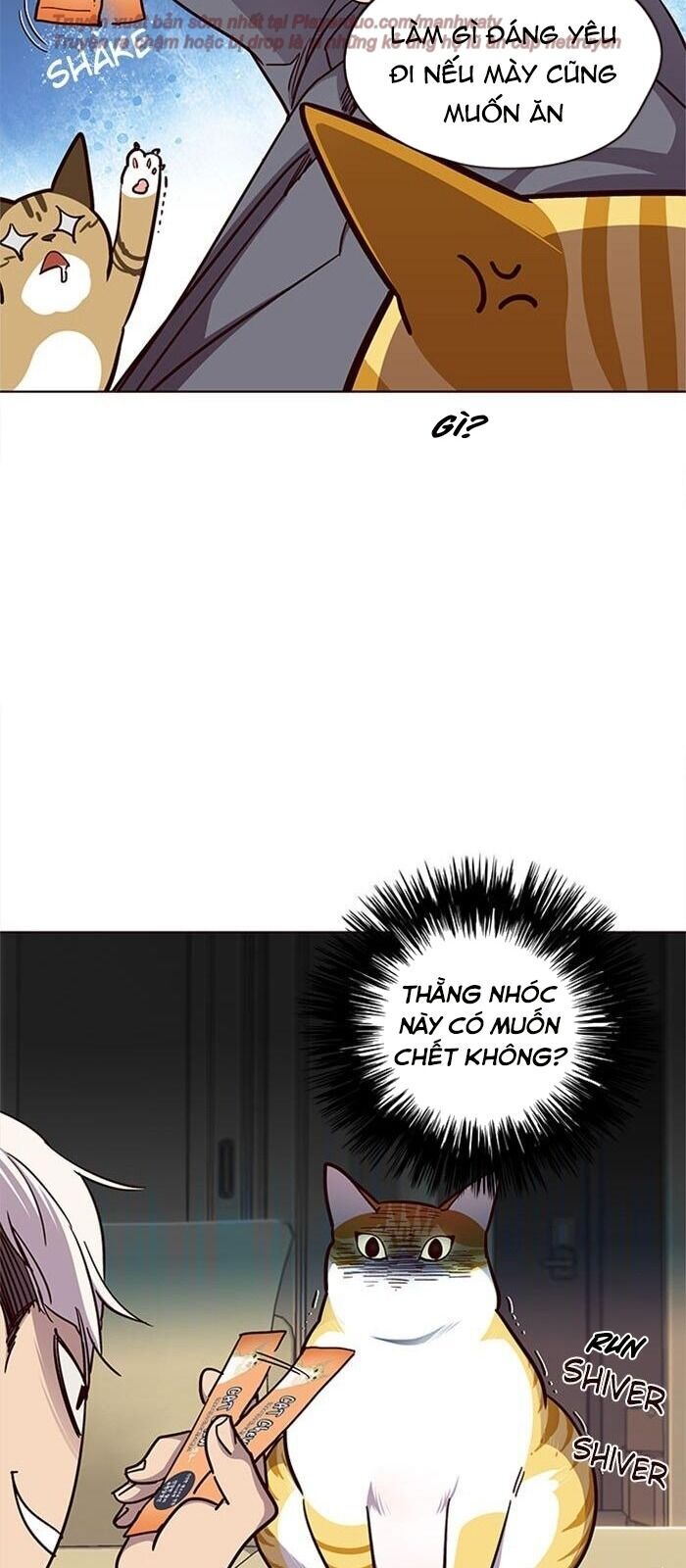 Hoá Thân Thành Mèo Chap 38 - Next Chap 39