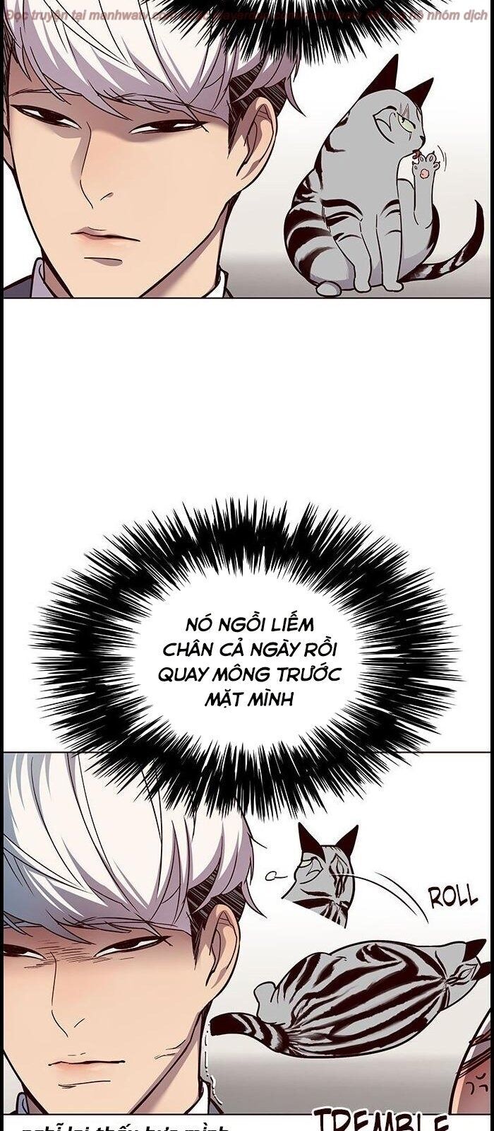 Hoá Thân Thành Mèo Chap 39 - Next Chap 40
