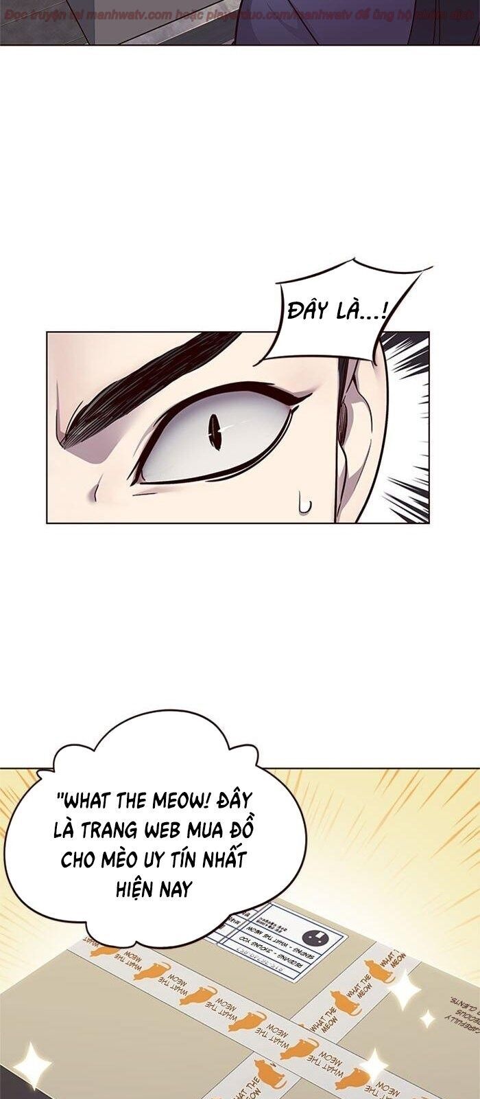 Hoá Thân Thành Mèo Chap 39 - Next Chap 40