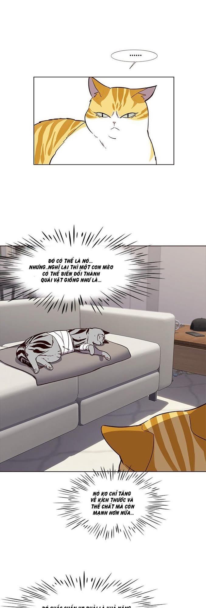 Hoá Thân Thành Mèo Chap 4 - Next Chap 5