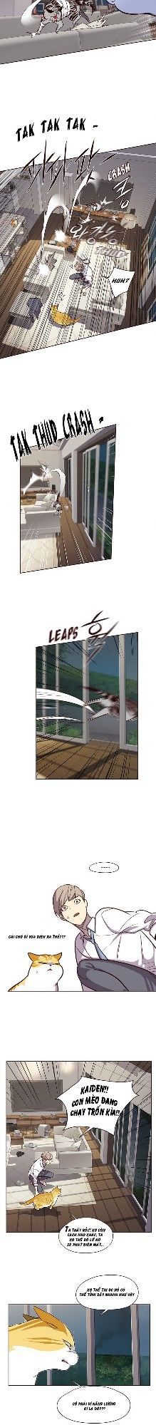 Hoá Thân Thành Mèo Chap 4 - Next Chap 5