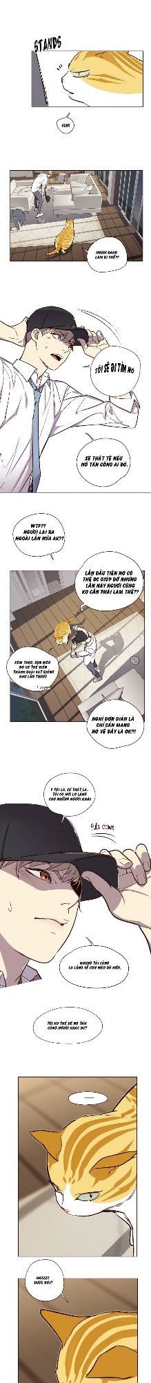 Hoá Thân Thành Mèo Chap 4 - Next Chap 5