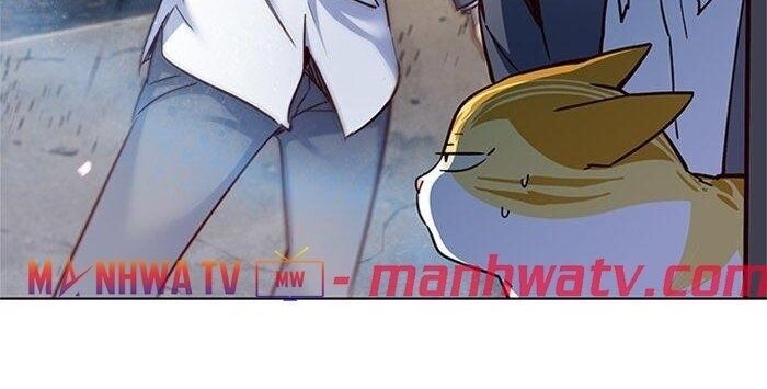 Hoá Thân Thành Mèo Chap 41 - Next Chap 42