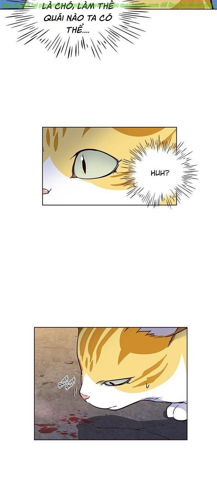 Hoá Thân Thành Mèo Chap 41 - Next Chap 42
