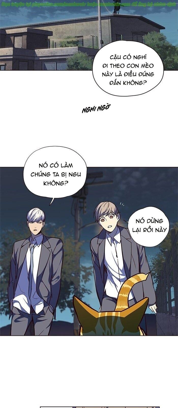 Hoá Thân Thành Mèo Chap 41 - Next Chap 42