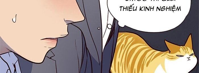 Hoá Thân Thành Mèo Chap 42 - Next Chap 43