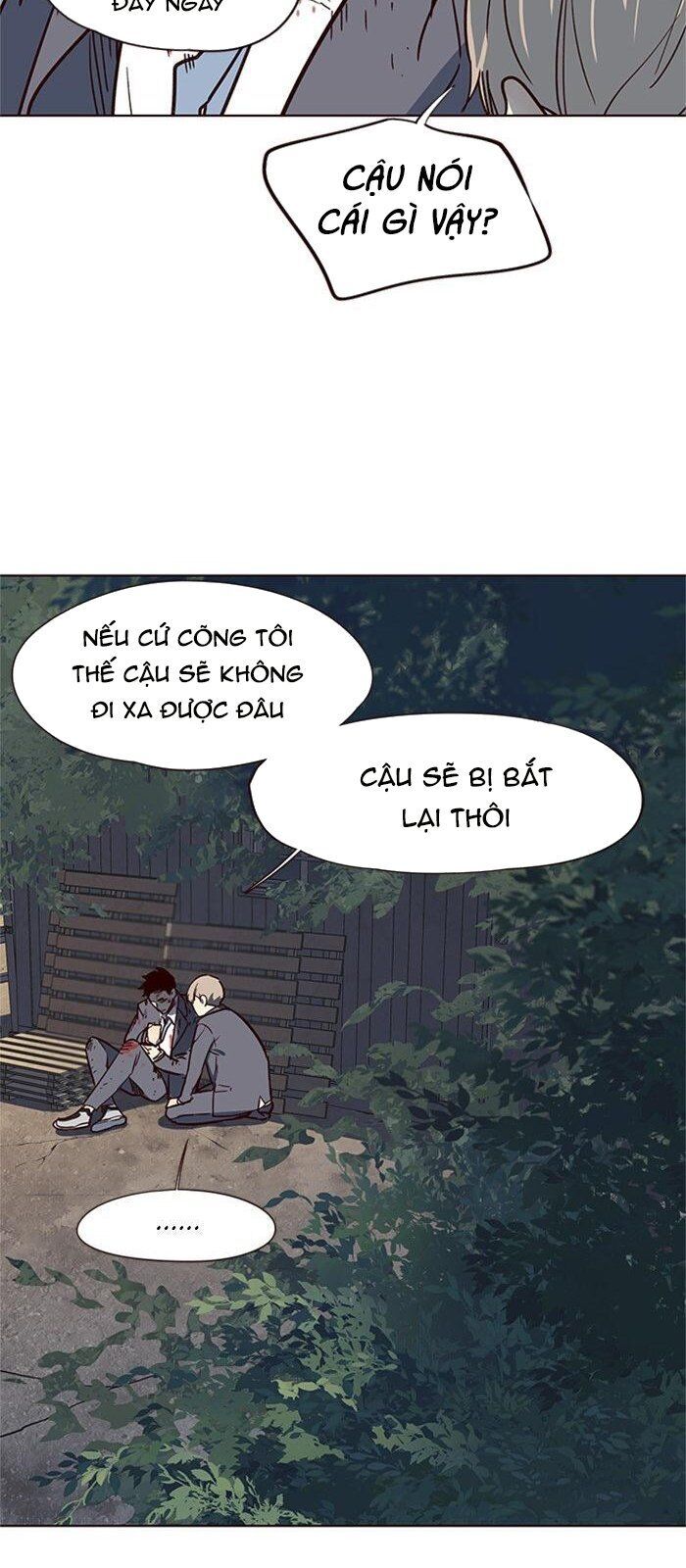 Hoá Thân Thành Mèo Chap 42 - Next Chap 43