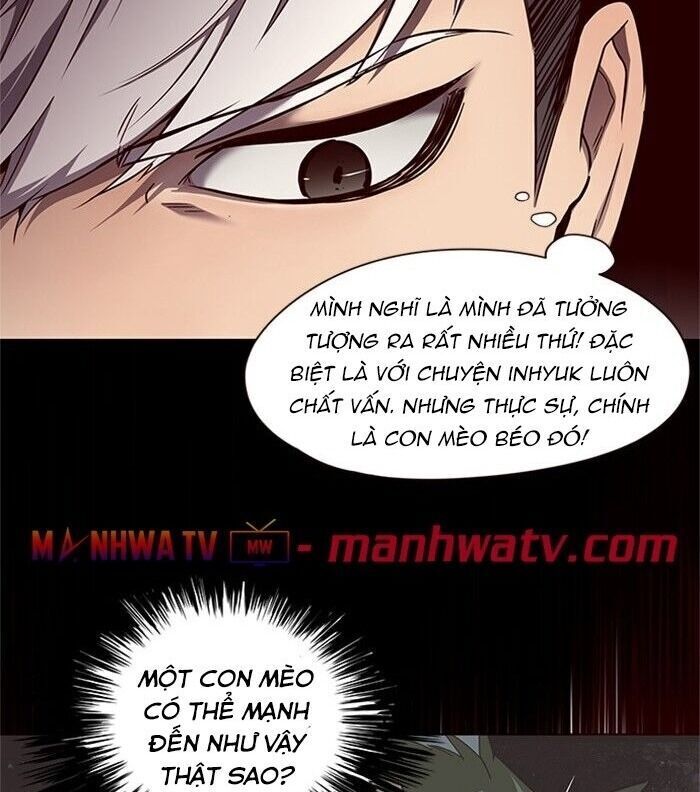 Hoá Thân Thành Mèo Chap 46 - Next Chap 47