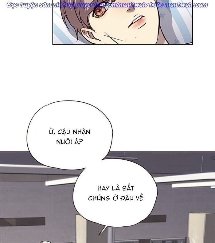 Hoá Thân Thành Mèo Chap 46 - Next Chap 47