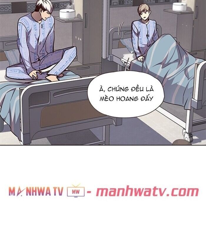 Hoá Thân Thành Mèo Chap 46 - Next Chap 47